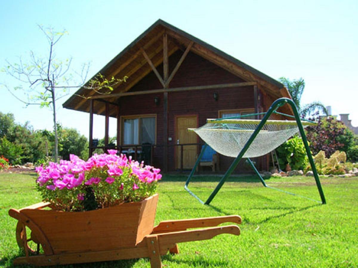 Vila Tal Nof Cabins Manot Pokoj fotografie