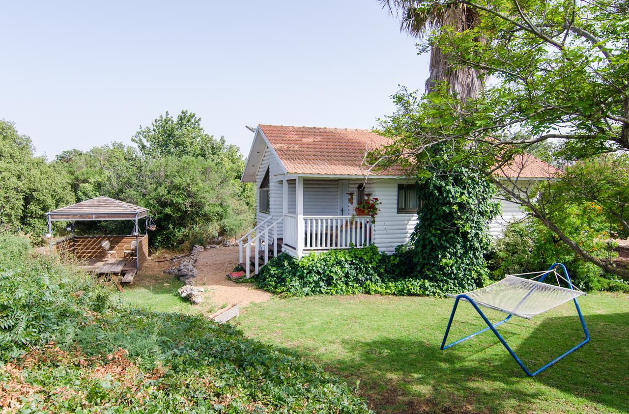 Vila Tal Nof Cabins Manot Exteriér fotografie