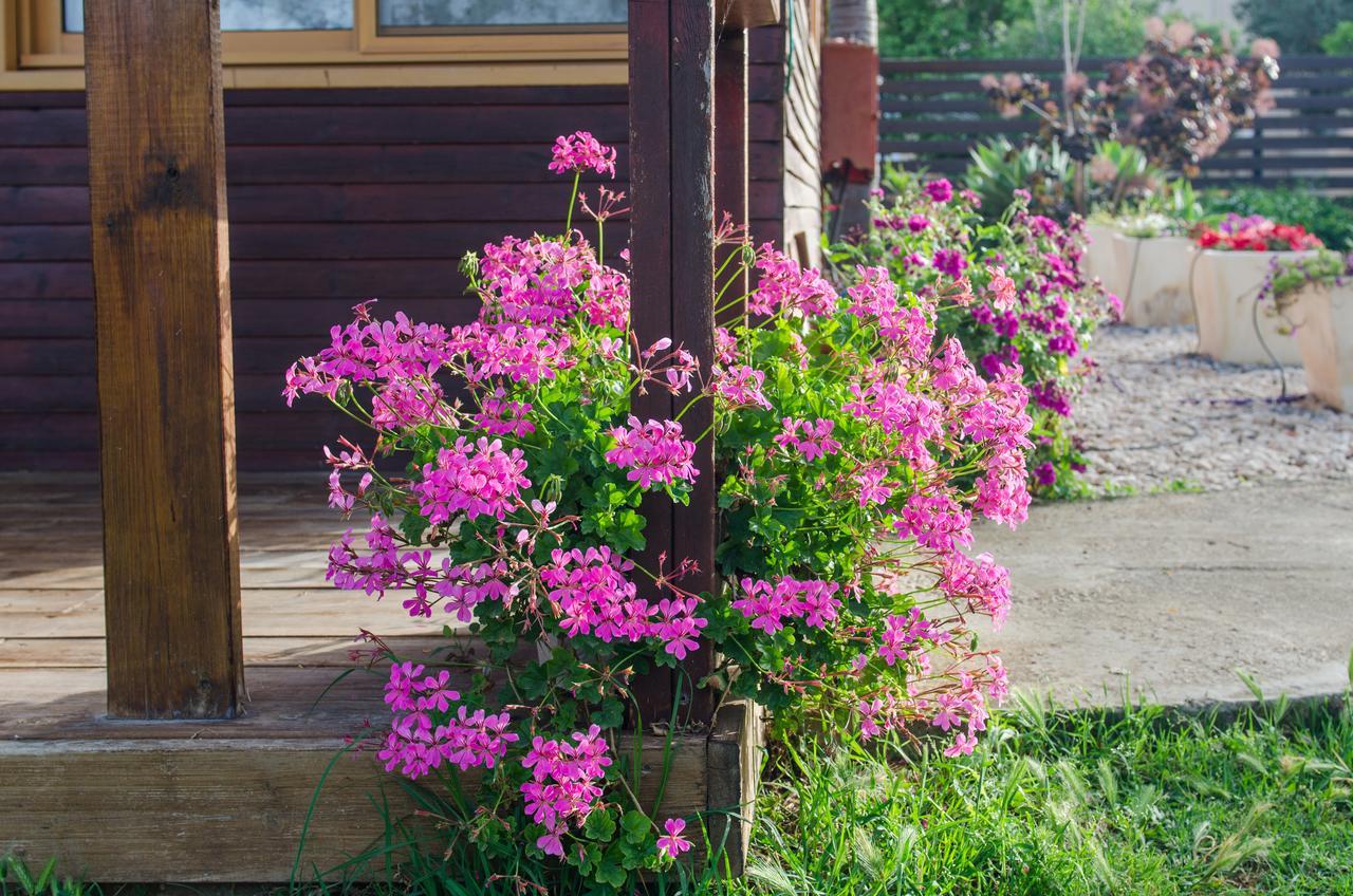 Vila Tal Nof Cabins Manot Exteriér fotografie