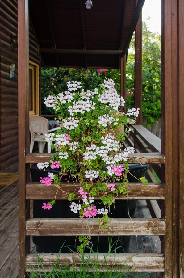 Vila Tal Nof Cabins Manot Exteriér fotografie